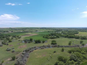 aerial picture of green farmland, river and cattle taken with a drone